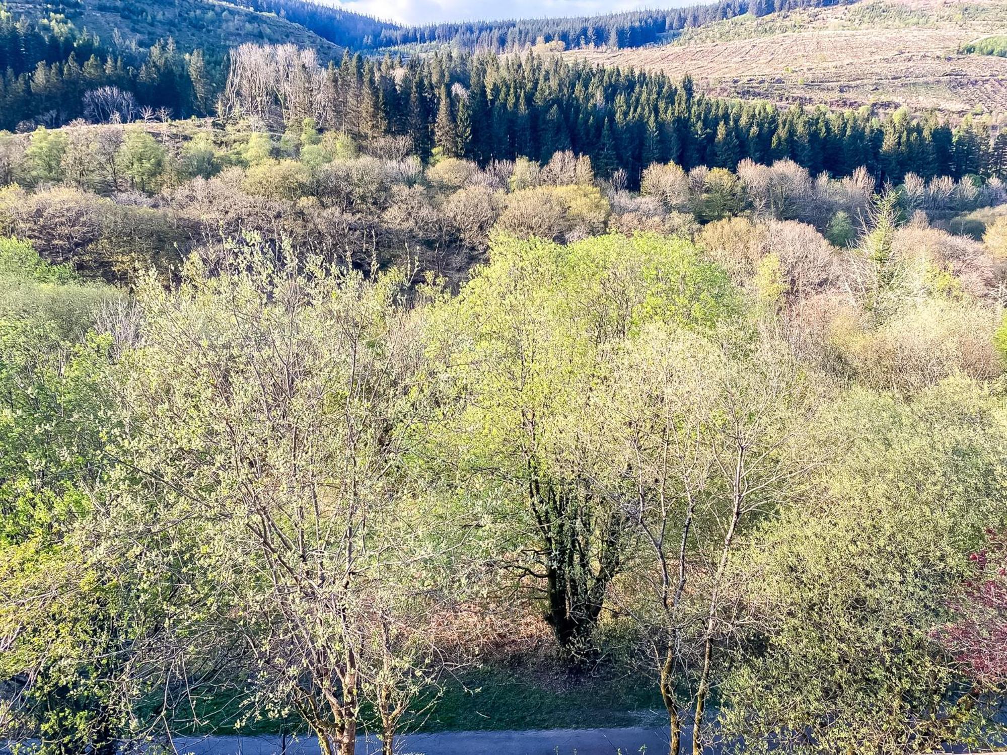 The Nest Superb Apartment In Afan Forest Bike Park By Staystaycations Port Talbot Exterior photo